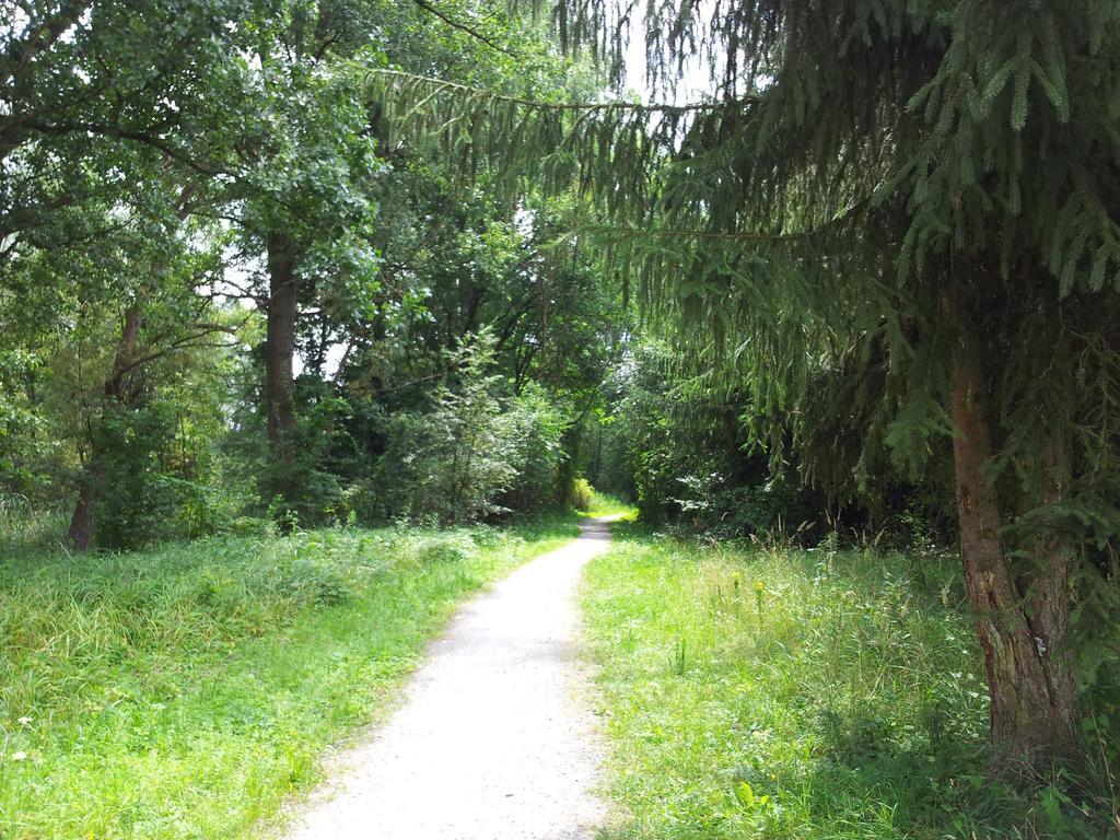Spreewaldhaus Zum Schoberplatz Διαμέρισμα Lübben Εξωτερικό φωτογραφία